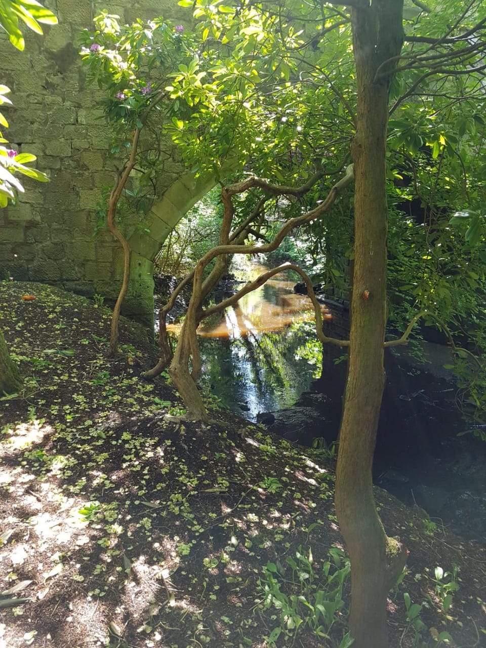 Natural landscape, River view