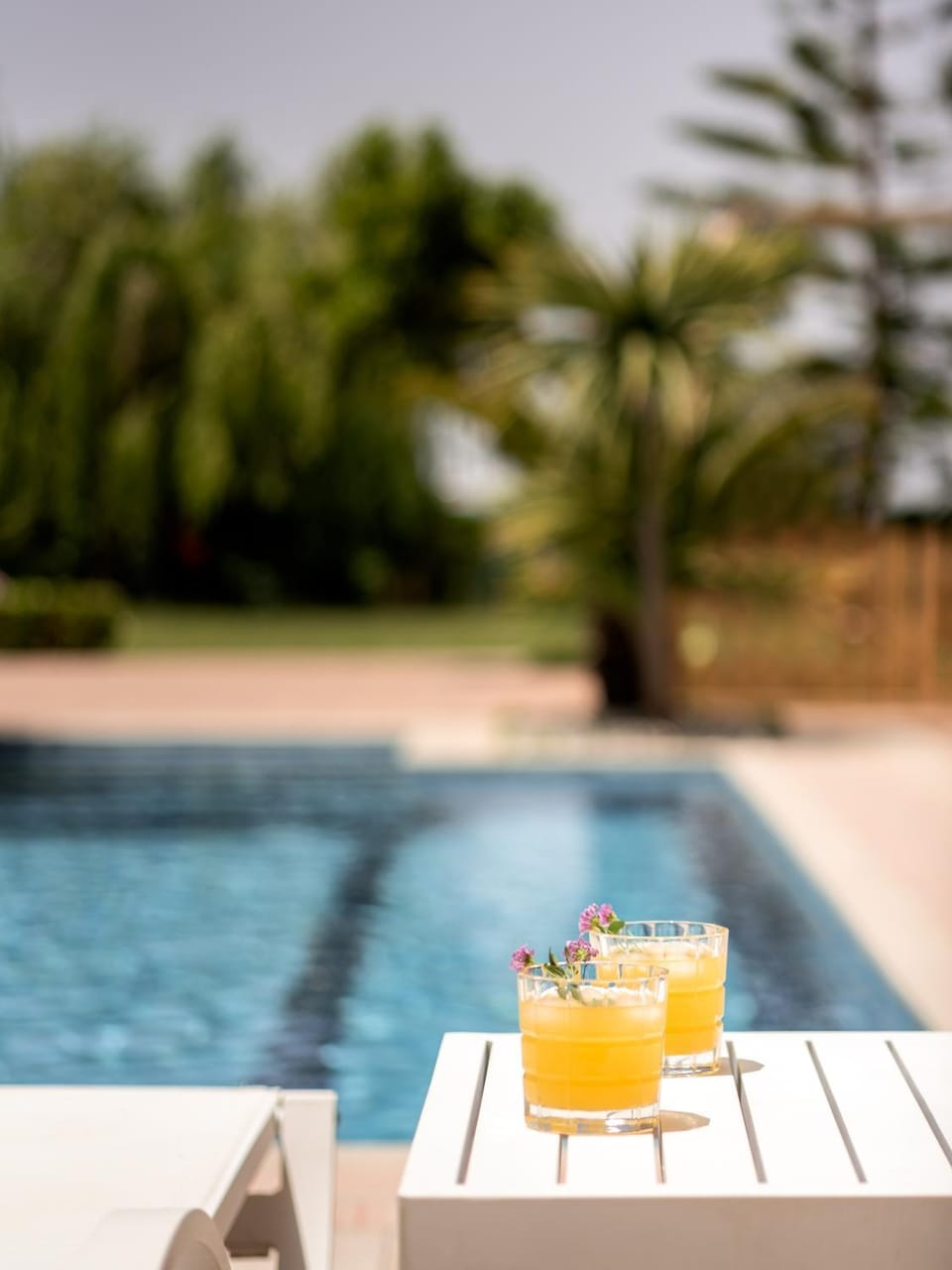 Pool view, Swimming pool, Swimming pool, Drinks