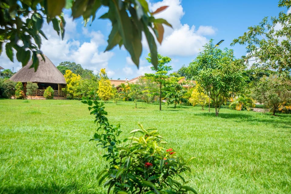Day, Natural landscape, Garden, Garden view