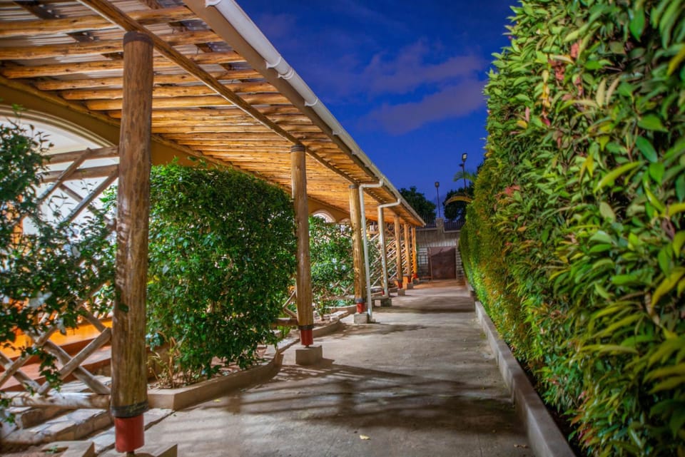 Property building, Night, Garden view
