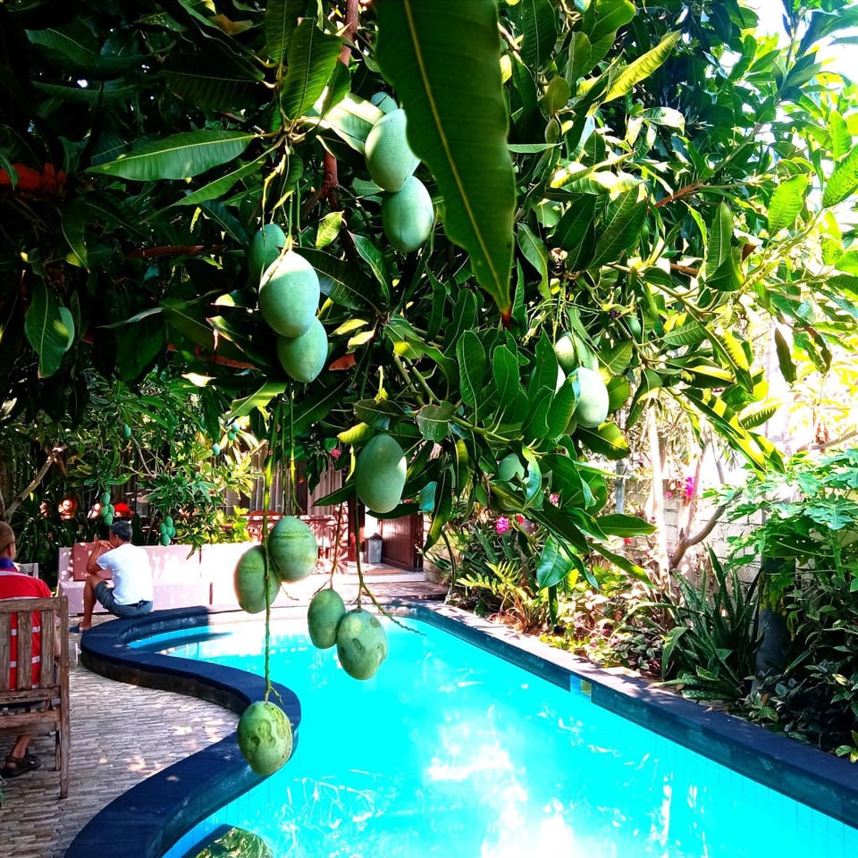 Day, Garden, Garden view, Pool view, Swimming pool