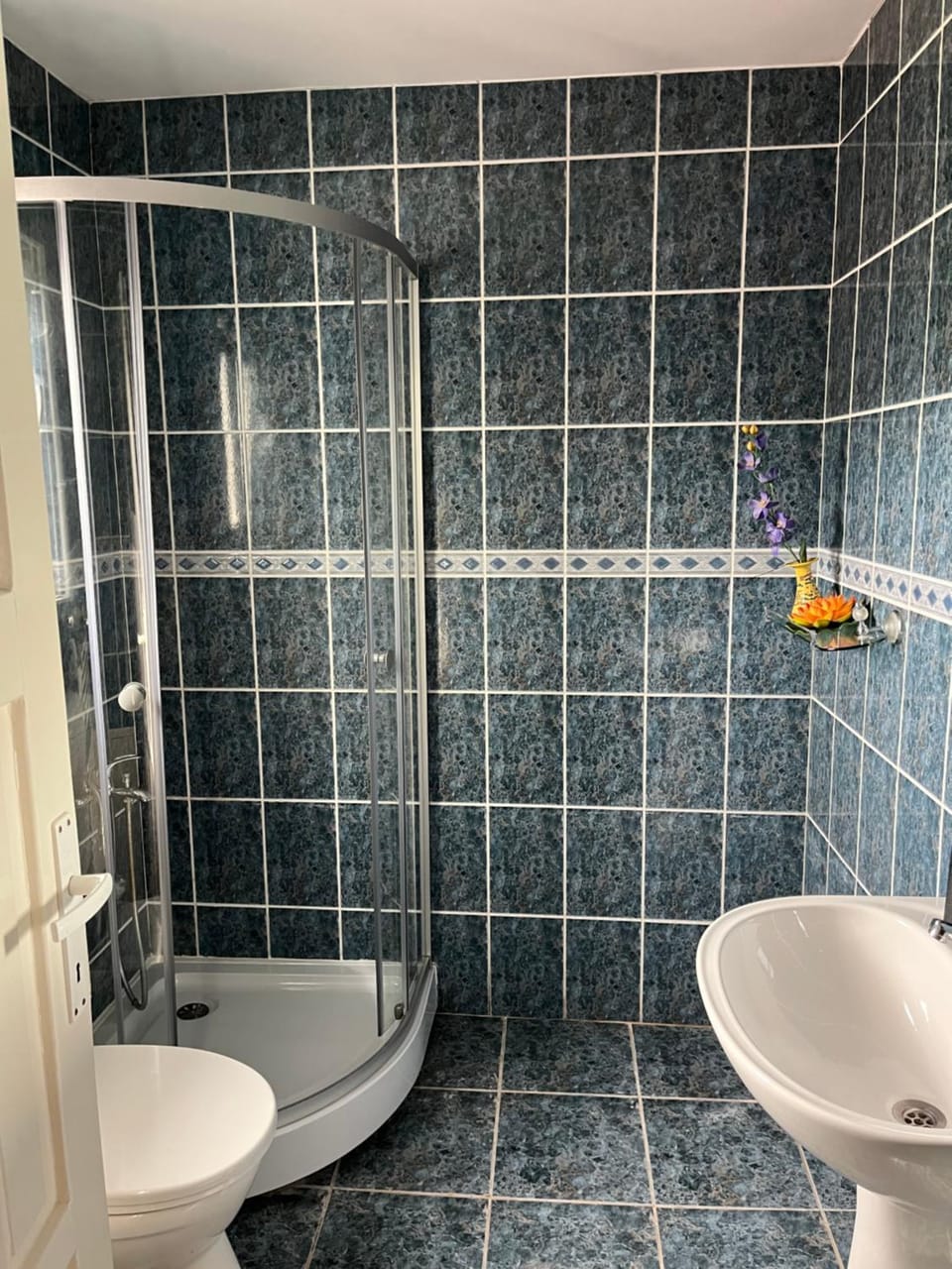 Pensiunea Lucia Ana Bed and Breakfast in Cluj-Napoca
