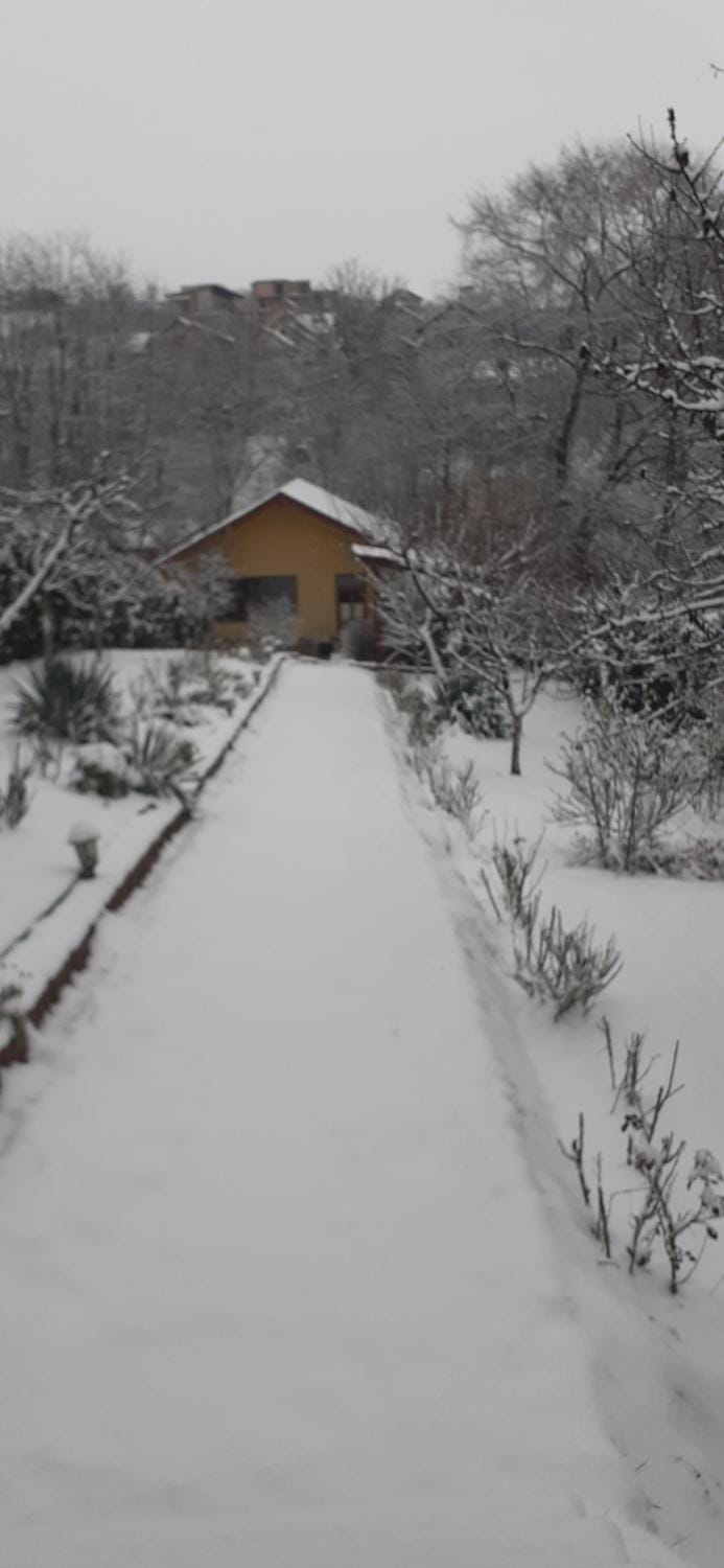 Winter