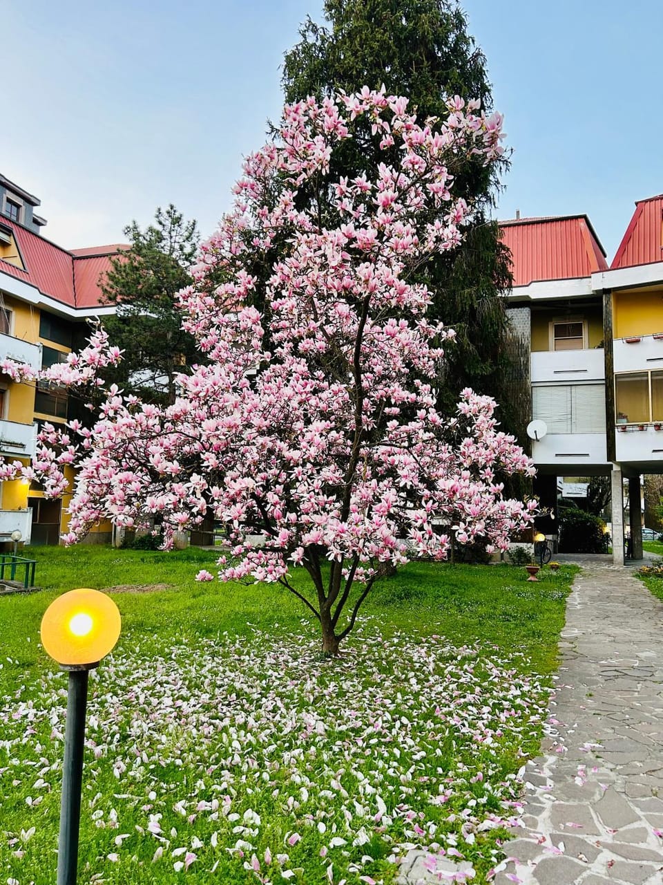 Il Contrabbasso Bed and Breakfast in Cremona