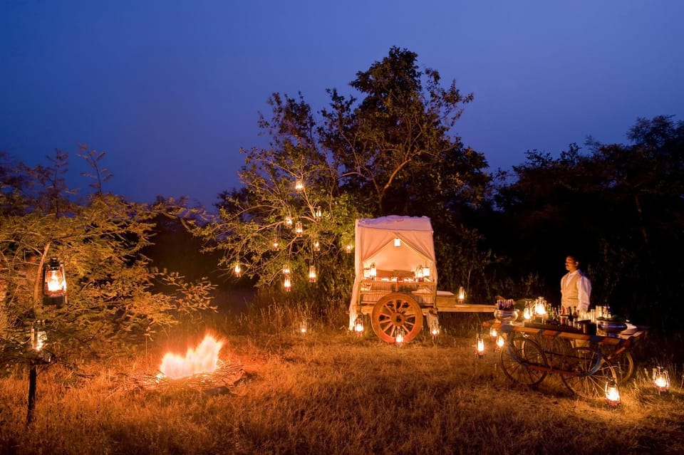 Night, Garden