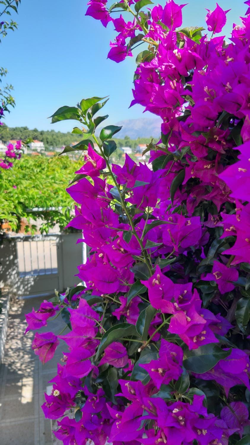 Studio apartman Kornelija Apartment in Dubrovnik-Neretva County