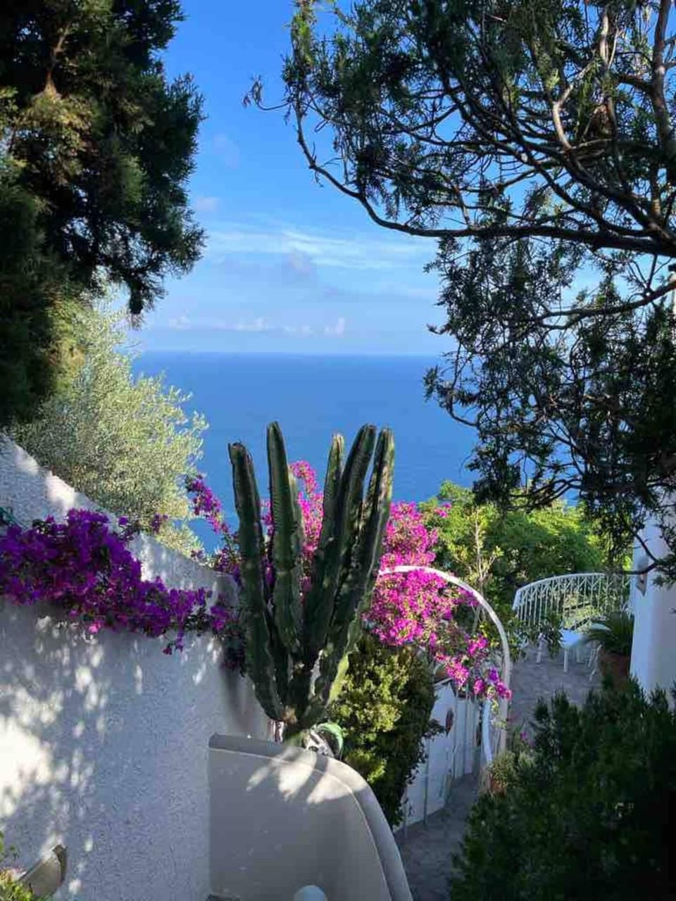 Property building, Natural landscape, Garden, Sea view
