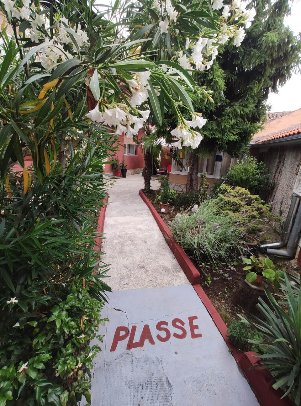 Property building, Patio, Garden, Garden view, Time of day, Inner courtyard view