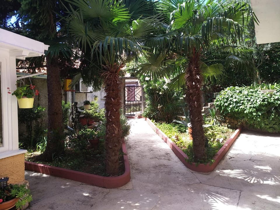 Patio, Garden, Garden view