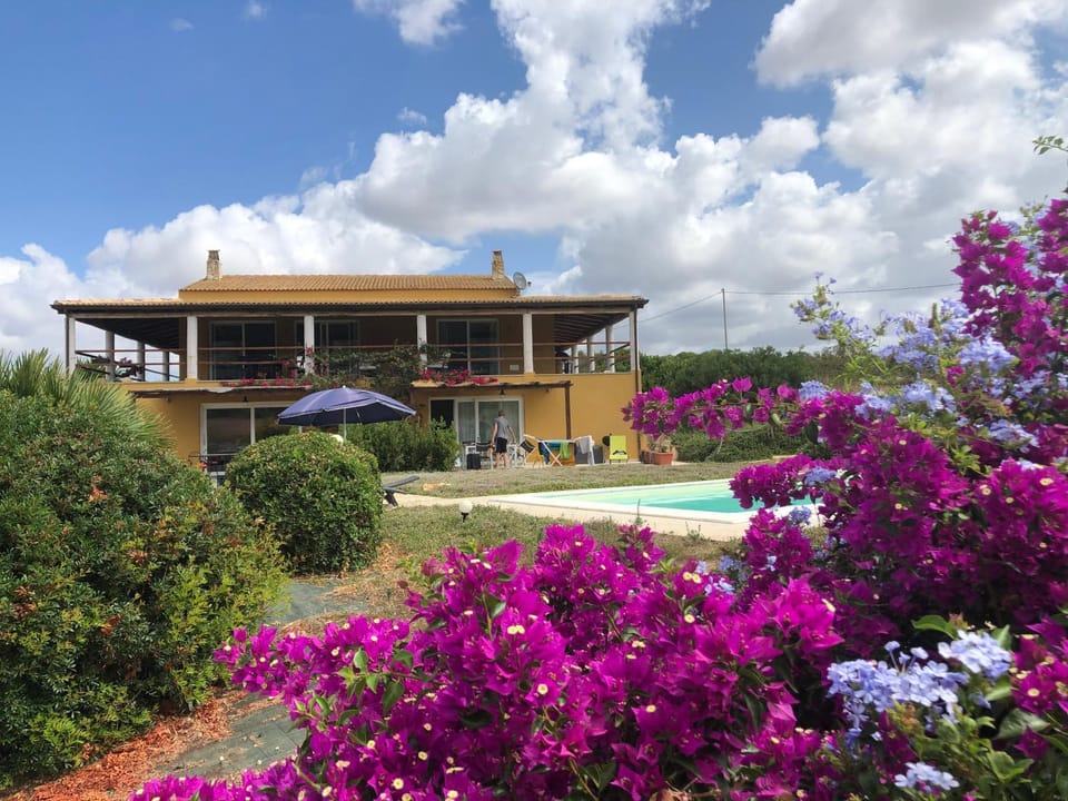 Property building, Garden view