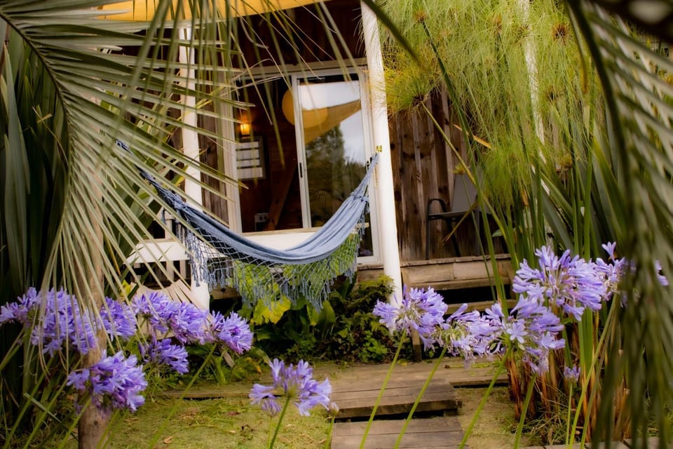 Garden, Garden view