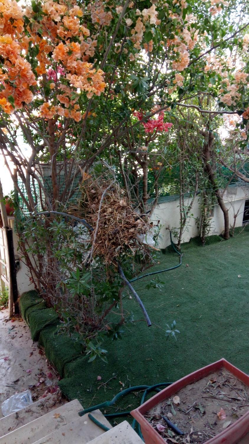 Garden, Balcony/Terrace