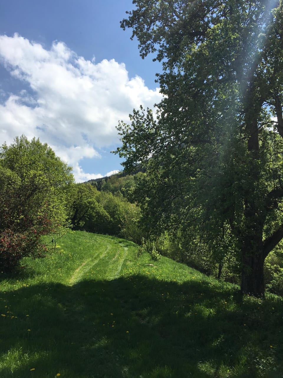Natural landscape