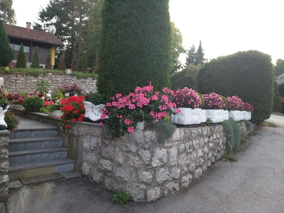Apartment Vihor Apartment in Zlatibor