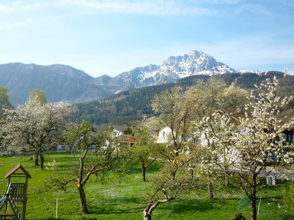 Garden view, Mountain view