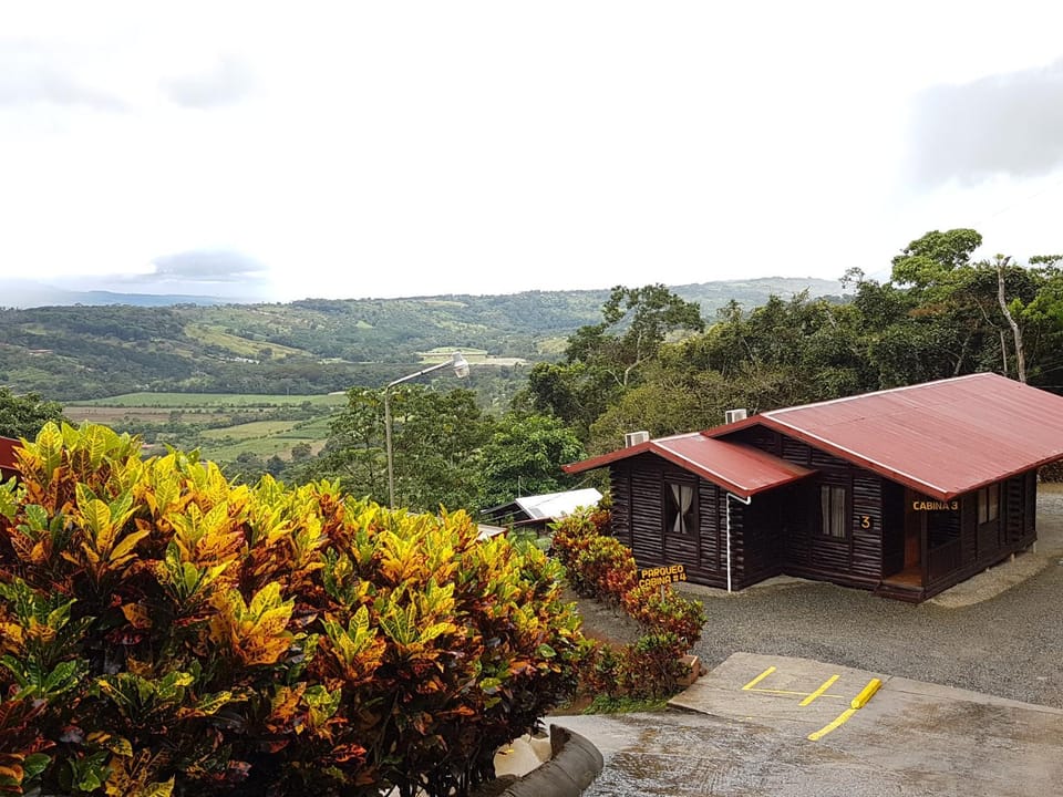 City view, Garden view, Landmark view, Mountain view, River view, Street view, Family