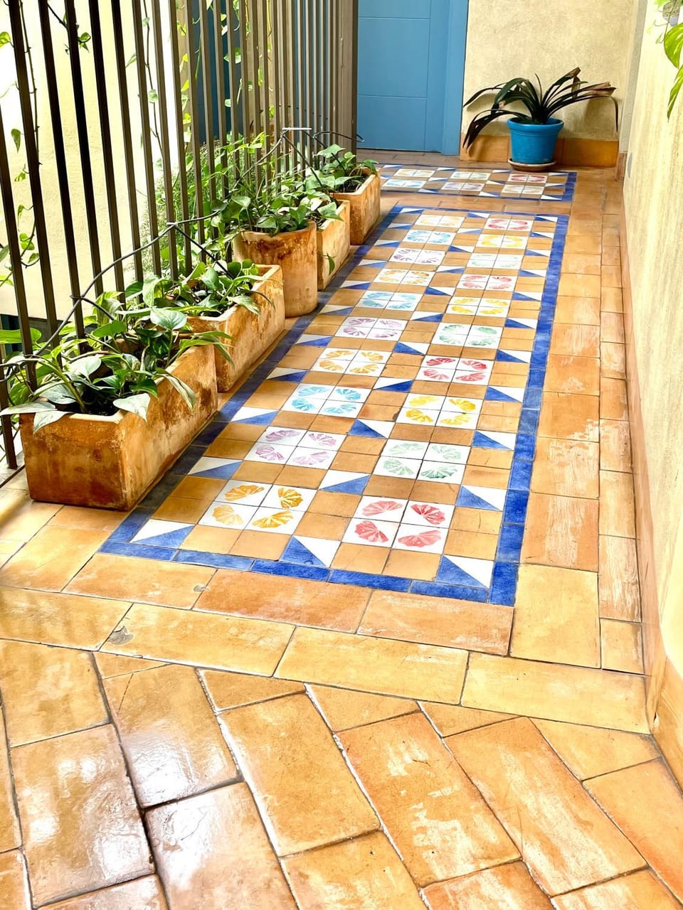 Patio, Area and facilities