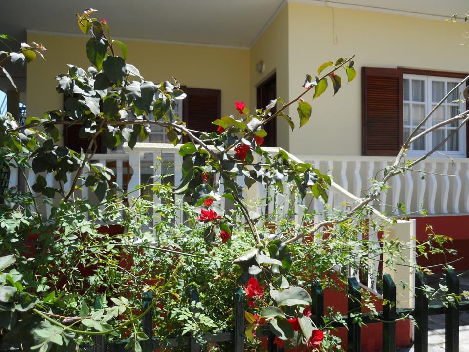 Garden, Balcony/Terrace, Decorative detail