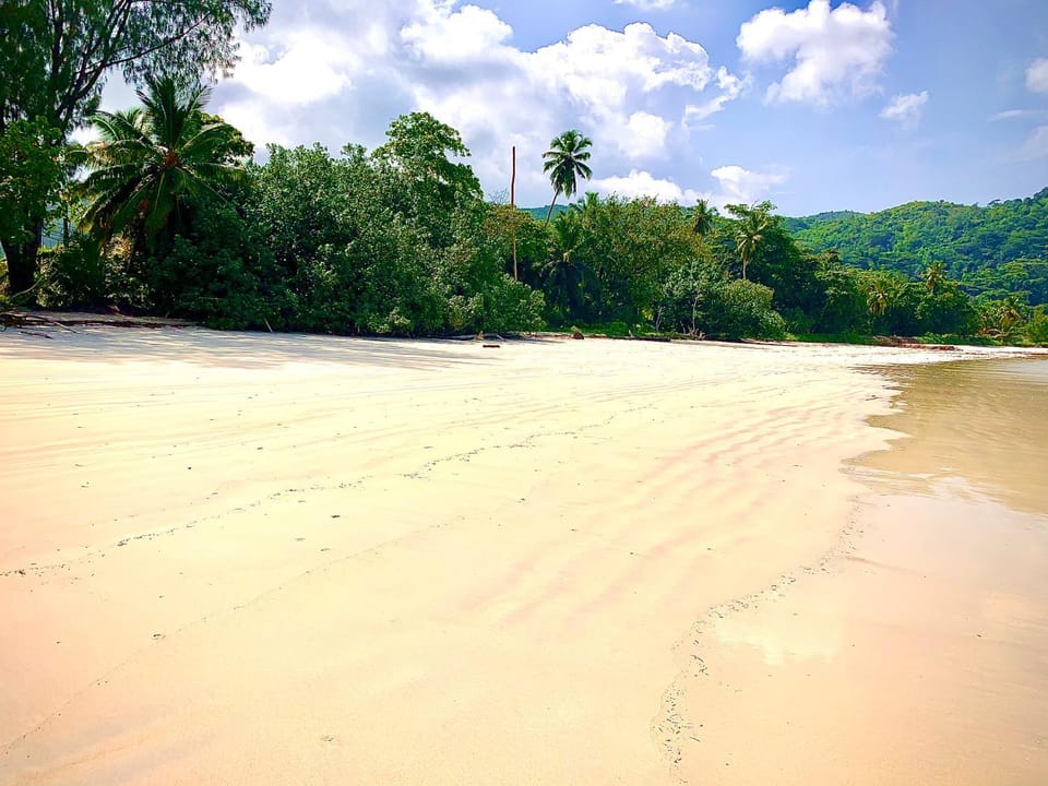 Natural landscape