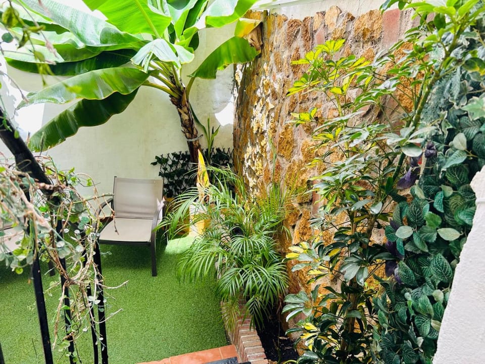 Garden, Balcony/Terrace
