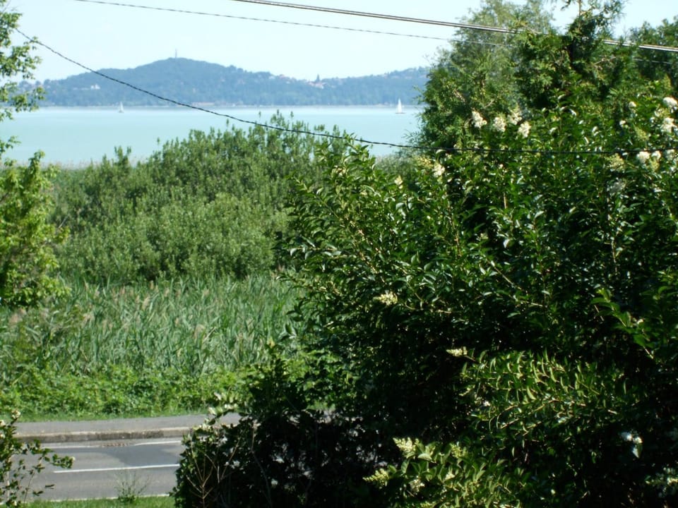 Lake view