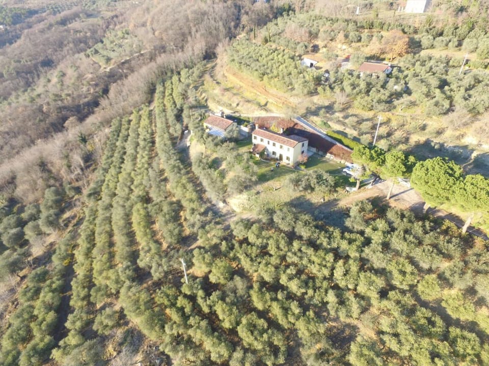 Property building, Natural landscape, Bird's eye view