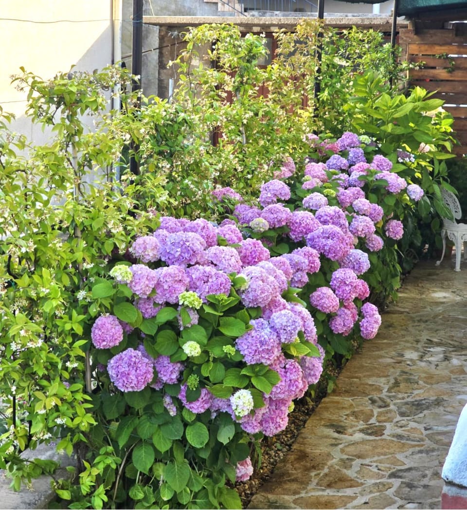 Garden view