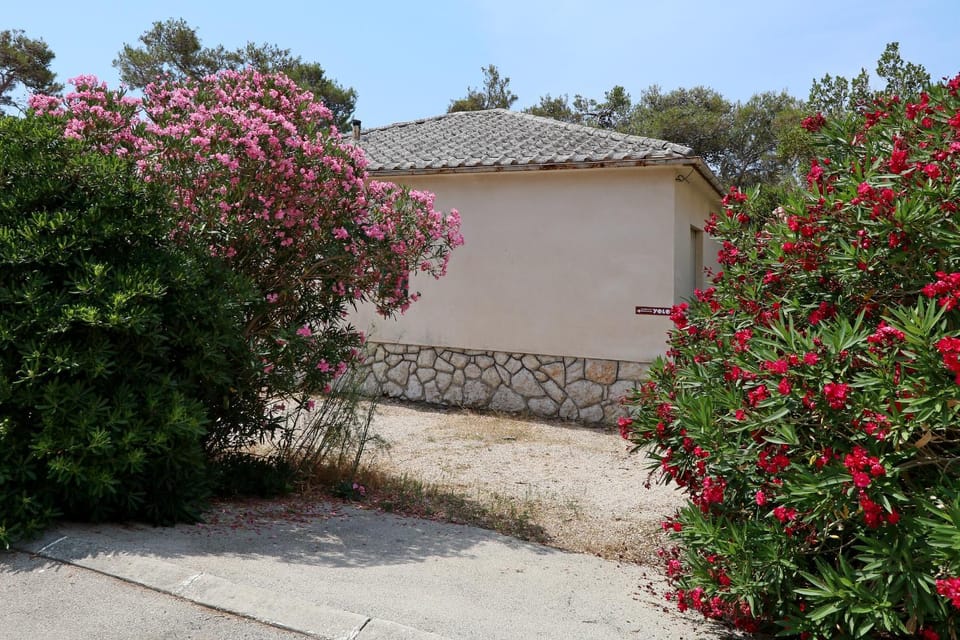 Facade/entrance, Garden