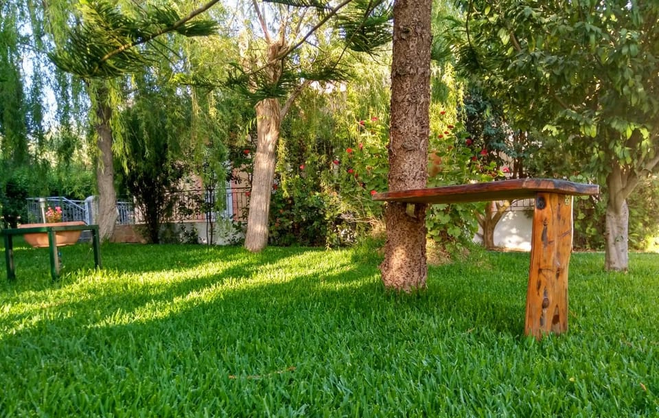 Garden, Other, Decorative detail, Garden view