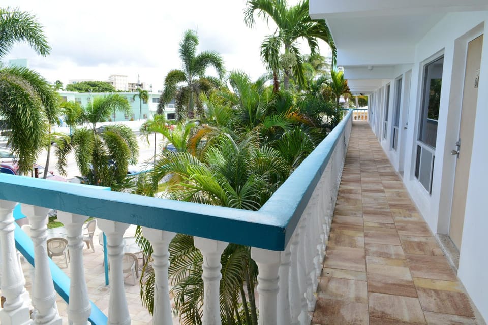 View (from property/room)