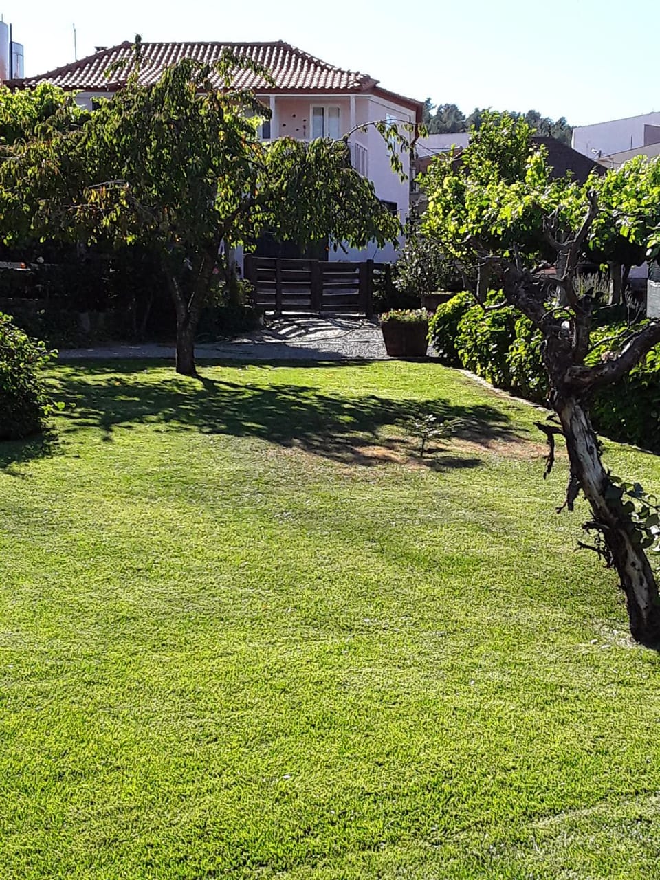 Facade/entrance, Garden