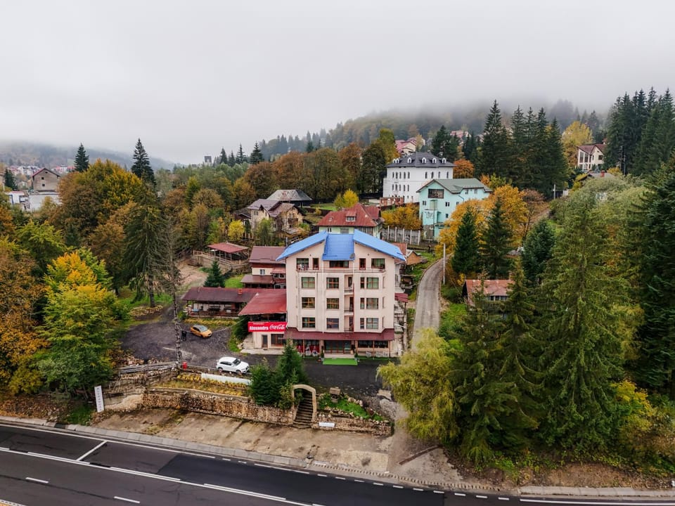 Pensiunea Alexandra Bed and Breakfast in Prahova, Romania