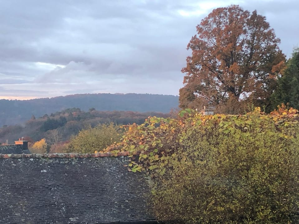 View (from property/room)