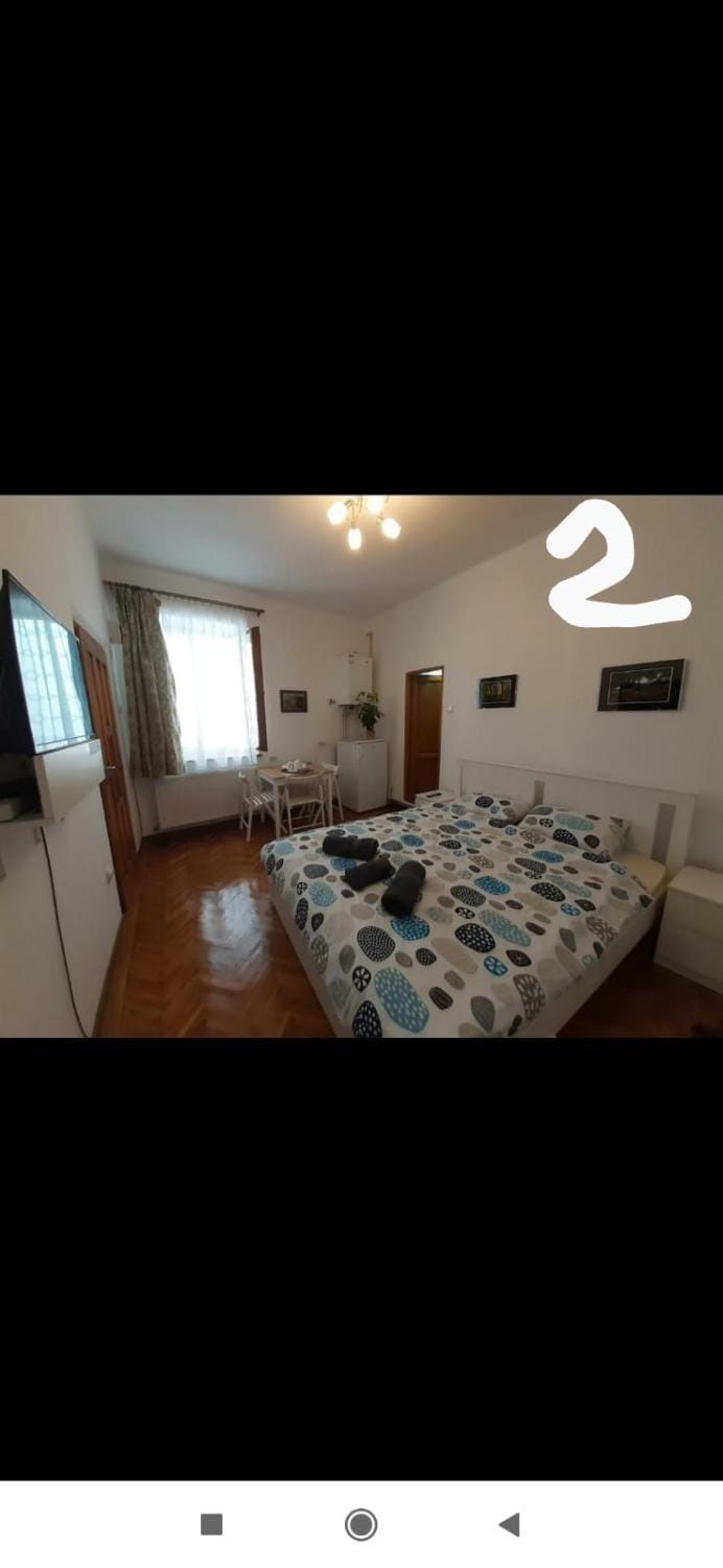 Central Studio in Historic Center Apartment in Brasov