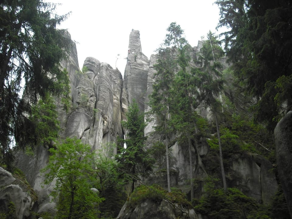 Natural landscape
