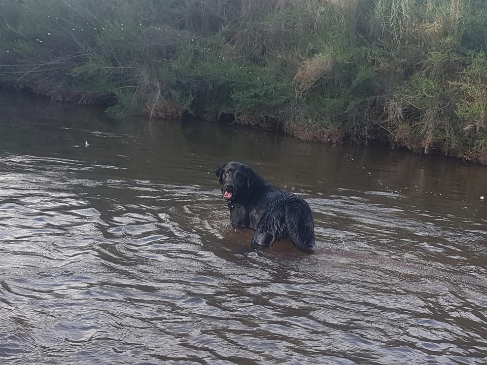 River view