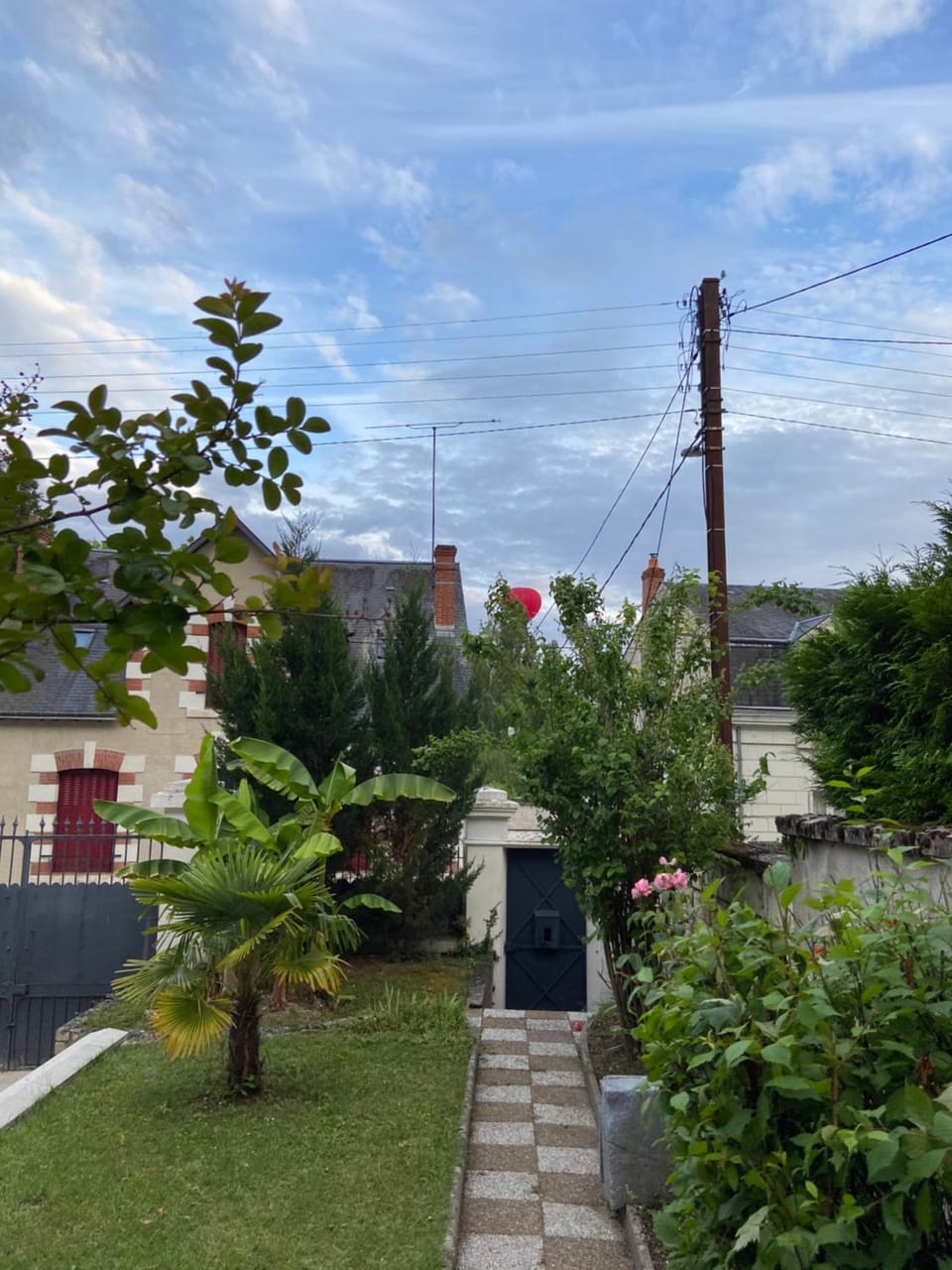 Garden view