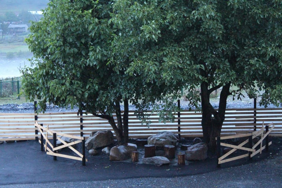 Garden, Seating area, Dining area