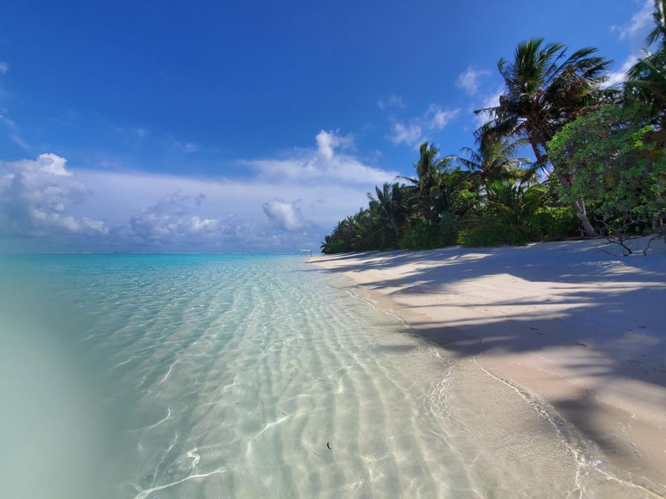 Staff, Staff, People, Activities, Beach, Guests, Sea view, Location, children, young children, older children, group of guests, Family, Family