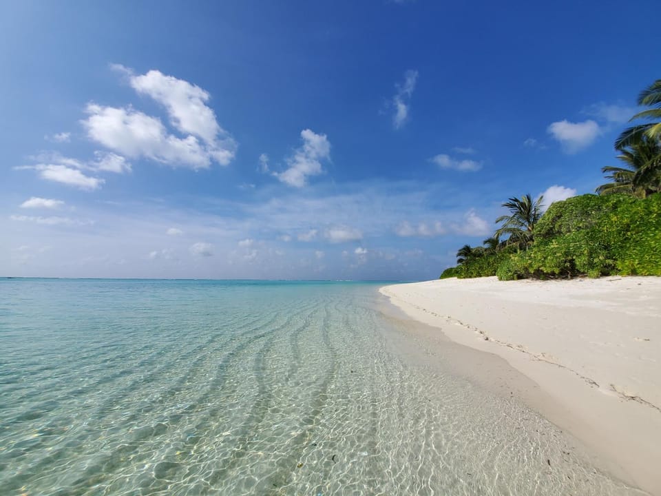 Staff, People, Natural landscape, Activities, Beach, Guests, Sea view, Entertainment, children, young children, older children, group of guests, Family