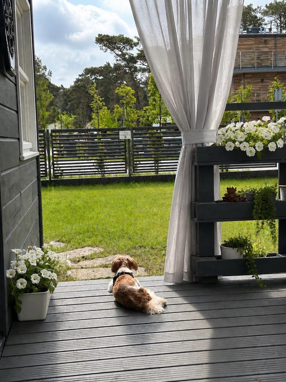 Patio, Garden