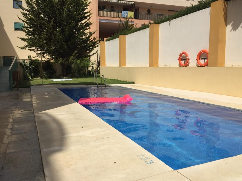 Day, Summer, Garden, Swimming pool