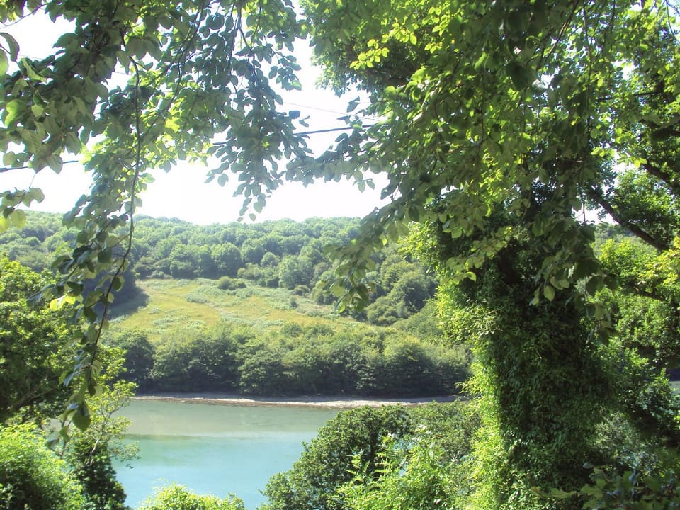 Natural landscape