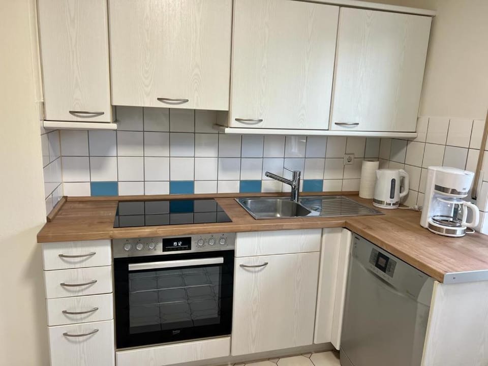 Kitchen or kitchenette, dishwasher, stove
