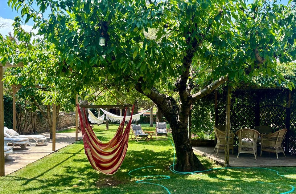 Day, Natural landscape, Garden, Garden view, sunbed