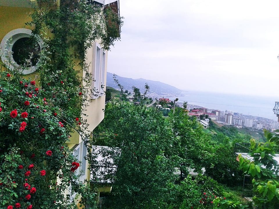 Facade/entrance, Natural landscape, Floor plan, City view, Garden view, Mountain view, Sea view