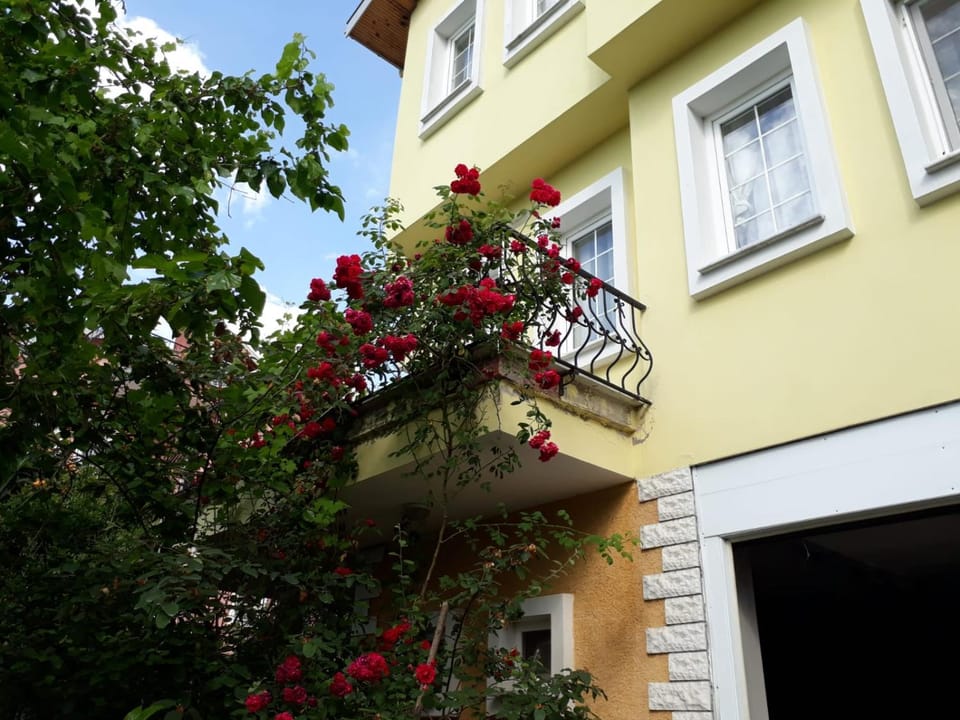 Property building, Garden view