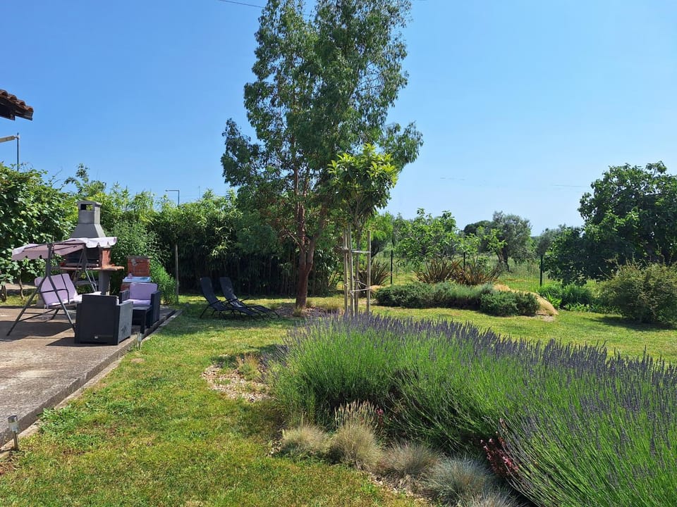 BBQ facilities, Garden