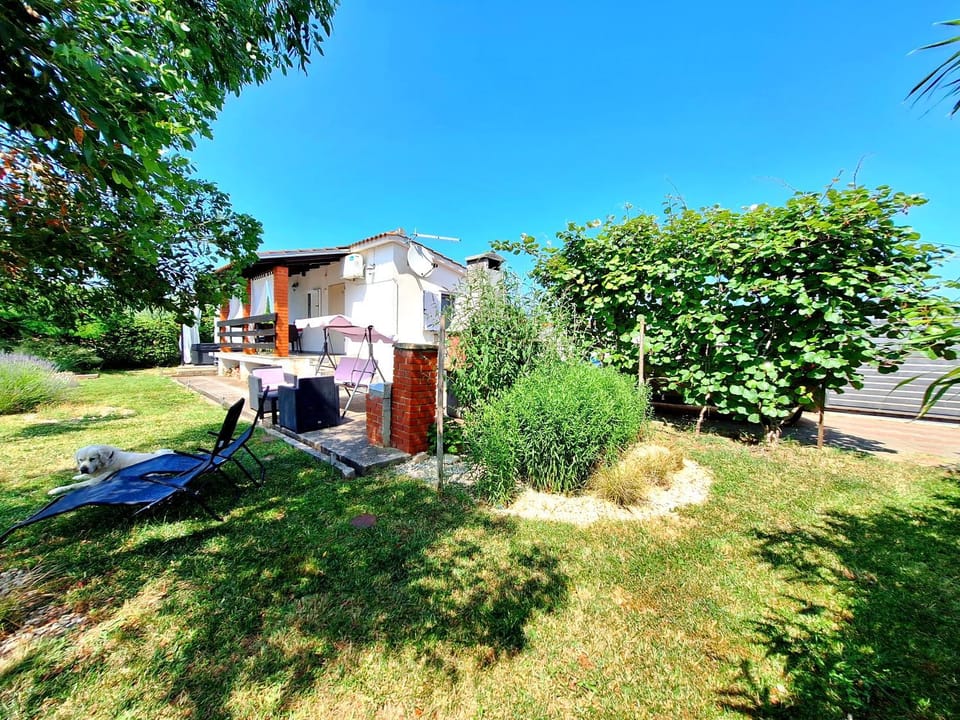 Property building, Garden