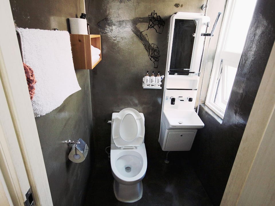 Shower, Toilet, Decorative detail, Area and facilities